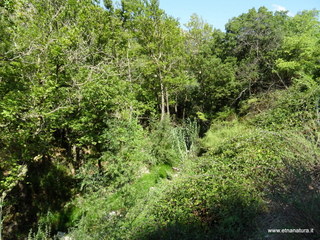 stoleone-09-08-2020 10